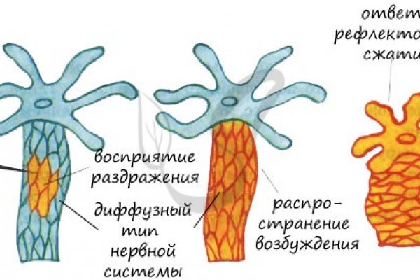 Что такое кракен плейс